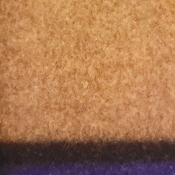 Pendleton Beaver State Chief Eagle Seelatsee Yakima Wool Throw Blanket 52x70 Big - Picture 10 of 10